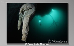 cenote la angelita.
nikkon d 60 by Jose Luis Aleman 